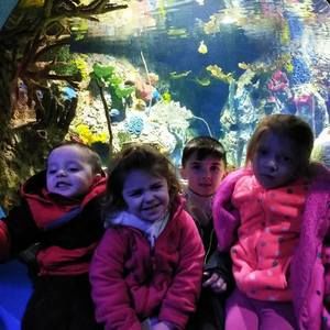 Meet your Posher, Lori